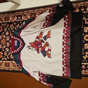 Jersey Phoenix coyotes
